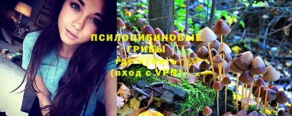 альфа пвп Каменногорск