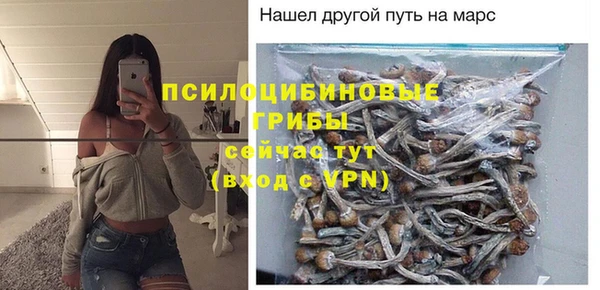 дмт Каменск-Шахтинский