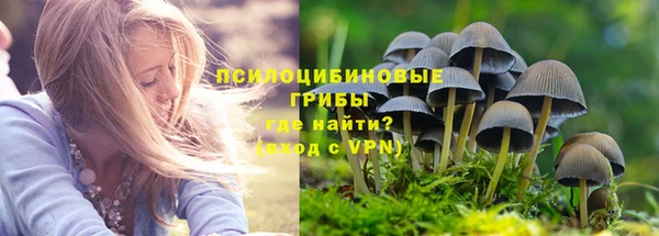 дмт Каменск-Шахтинский